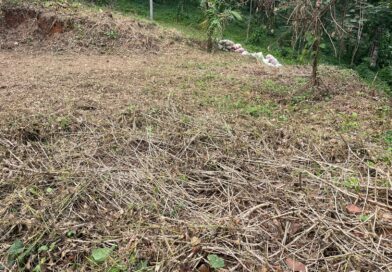 കിടങ്ങൂരിൽ 13 സെന്റ് വില്പനക്ക്