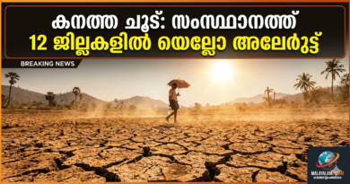 കനത്ത ചൂട്: സംസ്ഥാനത്ത് 12 ജില്ലകളില്‍ യെല്ലോ അലേര്‍ട്ട്